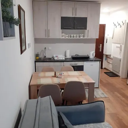 Andela I Aleksa Apartament Divčibare