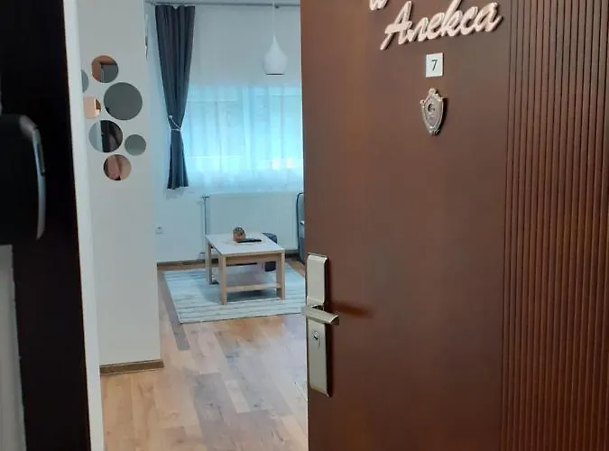 Andela I Aleksa Divcibare-a7 * Divčibare