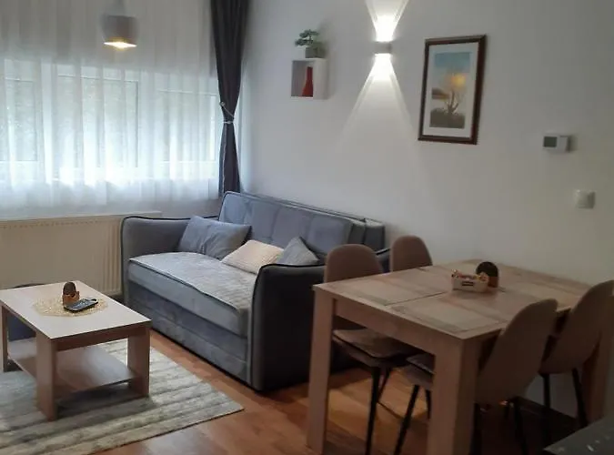 Διαμέρισμα Andela I Aleksa Divcibare-a7