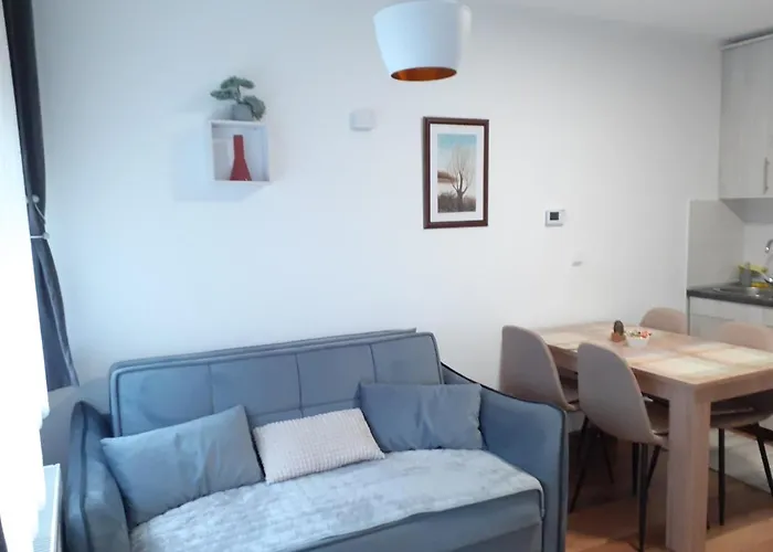 Διαμέρισμα Andela I Aleksa Divcibare-a7 Divčibare