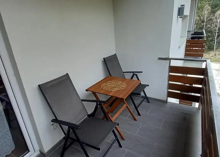 Andela I Aleksa Divcibare-a7 *