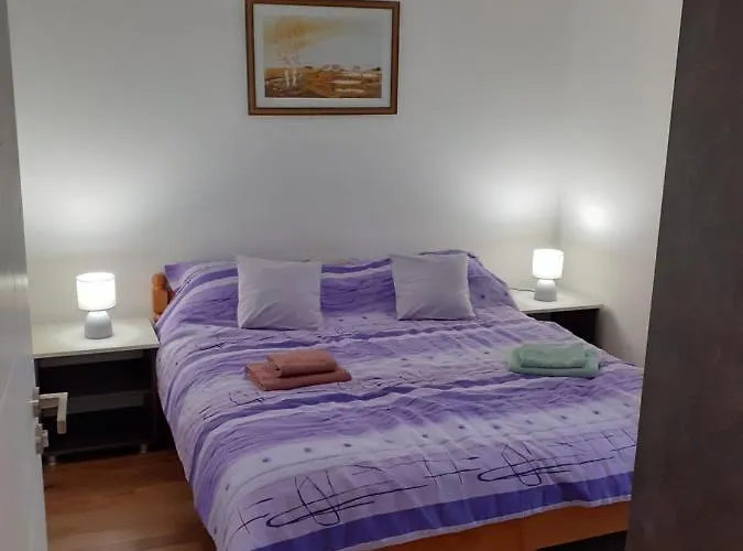 Andela I Aleksa Divcibare-a7