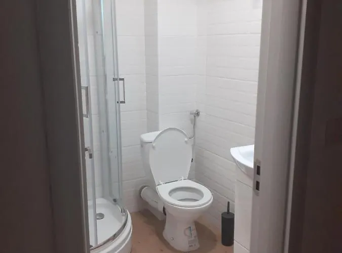 Andela I Aleksa Divcibare-a7 * Divčibare