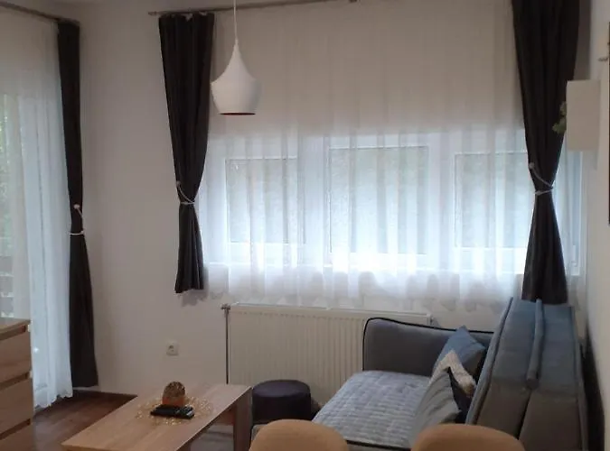 Andela I Aleksa Divcibare-a7 * Divčibare