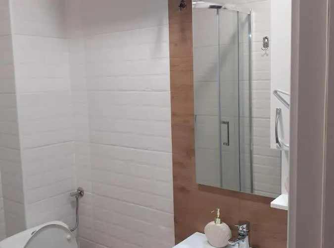 Διαμέρισμα Andela I Aleksa Divcibare-a7 Divčibare