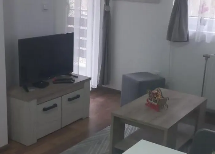 Andela I Aleksa Divcibare-a7 *