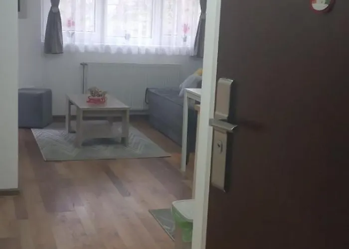 Andela I Aleksa Divcibare-a7